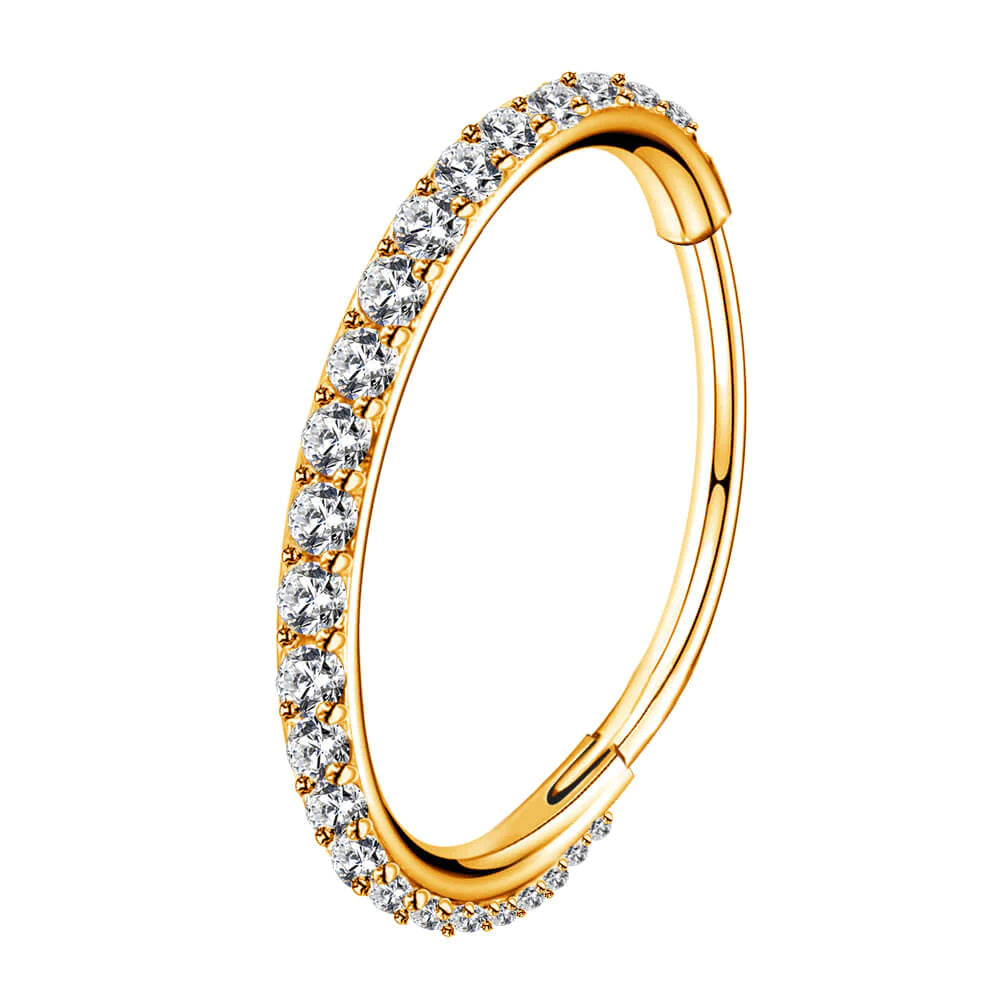 Titanium Micro Gem Hinged Nose Hoop 8mm